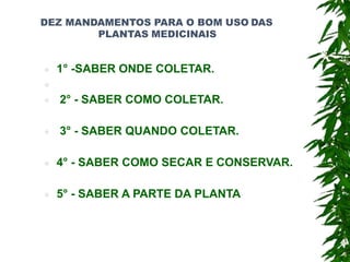 DEZ MANDAMENTOS PARA O BOM USO DAS
PLANTAS MEDICINAIS
 1° -SABER ONDE COLETAR.

 2° - SABER COMO COLETAR.
 3° - SABER QUANDO COLETAR.
 4° - SABER COMO SECAR E CONSERVAR.
 5° - SABER A PARTE DA PLANTA
 