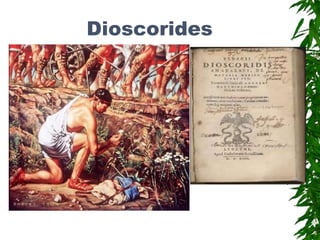 Dioscorides
 
