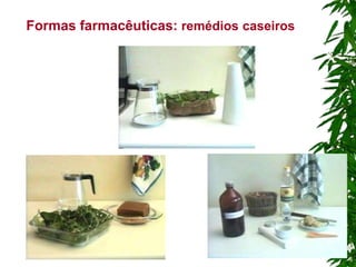 Formas farmacêuticas: remédios caseiros
 
