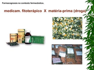 medicam. fitoterápico X matéria-prima (droga)
Farmacognosia no contexto farmacêutico.
 