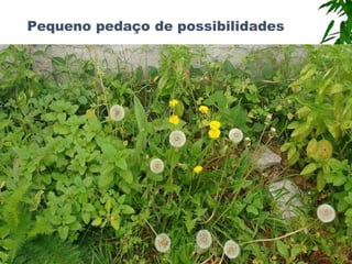 Pequeno pedaço de possibilidades
 