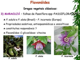 Flavonóides
Drogas vegetais clássicas:
3) MARACUJÁ – folhas de Passiflora spp–PASSIFLORACEAE
 P. edulis e P. alata (Brasil) – P. incarnata (Europa)
 Propriedades sedativas, antiespasmódicas e ansiolíticas
 constituites responsáveis ?
 Flavonóides: C-glicosídeos: vitexina
P. alata P. incarnata
P. edulis
 