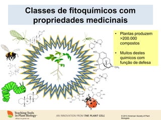 © 2013 American Society of Plant
Biologists
• Plantas produzem
>200.000
compostos
• Muitos destes
quimicos com
função de defesa
Classes de fitoquímicos com
propriedades medicinais
 