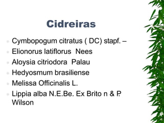 Cidreiras
 Cymbopogum citratus ( DC) stapf. –
 Elionorus latiflorus Nees
 Aloysia citriodora Palau
 Hedyosmum brasiliense
 Melissa Officinalis L.
 Lippia alba N.E.Be. Ex Brito n & P
.
Wilson
 