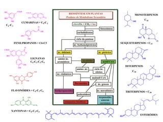 CH3 O
HO O O
O
HO
OH
O H O
OH
XANTONAS = C6-C1-C6
CUMARINAS = C -C
6 3
LIGNANAS
C6-C3-C3-C6
ESTERÓIDES
TRITERPENOS = C30
DITERPENOS
C20
SESQUIITERPENOS = C15
MONOTERPENOS
C10
FLAVONÓIDES = C6-C3-C6
OH
O
HO
O
OH
FENILPROPANOS = C6-C3
O
OH
OH
CH3O
HO
O
O
HO
O
O OH
O
CO2H
HO
CO2H
HO
OH
HO
C -C
6 1
O
O O H
OCH3
H O
OH
 