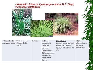 CAPIM-LIMÃO - folhas de Cymbopogon citratus (D.C.) Stapf,
POACEAE / GRAMINEAE
Capim Limão
Cana De Cheiro
Cynbopogon
citratus (D.C.)
Stapf
Folhas Insônia;
nervosismo
Dores de
cabeça;
Flatulências;
Cólicas uterinas
e intestinais;
Estimulante
lácteo.
Uso interno:
Infusão: 20 g de folhas
fresca em 1 litro de
água, 4 a 5 xícaras ao
dia.
Não há
referências na
literatura
consultada
 