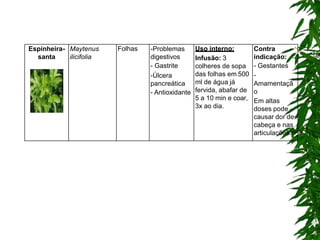 Espinheira-
santa
Maytenus
ilicifolia
Folhas -Problemas
digestivos
- Gastrite
-Úlcera
pancreática
- Antioxidante
Uso interno:
Infusão: 3
colheres de sopa
das folhas em 500
ml de água já
fervida, abafar de
5 a 10 min e coar,
3x ao dia.
Contra
indicação:
- Gestantes
-
Amamentaçã
o
Em altas
doses pode
causar dor de
cabeça e nas
articulações.
 