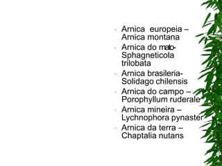  Arnica europeia –
Arnica montana
 Arnica do mato-
Sphagneticola
trilobata
 Arnica brasileria-
Solidago chilensis
 Arnica do campo –
Porophyllum ruderale
 Arnica mineira –
Lychnophora pynaster
 Arnica da terra –
Chaptalia nutans
 