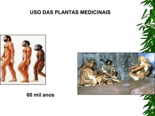 USO DAS PLANTAS MEDICINAIS
60 mil anos
 