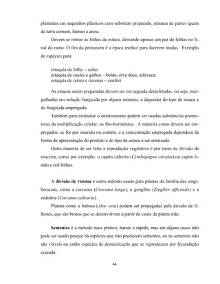44
plantadas em saquinhos plásticos com substrato preparado, mistura de partes iguais
de terra comum, húmus e areia.
Devem-se retirar as folhas da estaca, deixando apenas um par de folhas no fi-
nal do ramo. O fim da primavera é a época melhor para fazerem mudas. Exemplo
de espécies para:
estaquia da folha - saião;
estaquia de caules e galhos – boldo, erva doce, alfavaca;
estaquia de raízes e rizomas – confrei
As estacas assim preparadas devem ser em seguida desinfetadas, ou seja, mer-
gulhadas em solução fungicida por alguns minutos, a depender do tipo de estaca e
do fungicida empregado.
Também para estimular o enraizamento podem ser usadas substâncias promo-
toras da multiplicação celular, os fito-hormônioa. A maneira como devem ser em-
pregados, se for por imersão ou contato, e a concentração empregada dependerá da
forma de apresentação do produto e do tipo de estaca a ser enraizado.
Outra maneira de ser feita a reprodução vegetativa é por meio de divisão de
touceira, como por exemplo: o capim cidreira (Cymbopogon citratus).ou capim li-
mão e mil folhas.
A divisão de rizoma é outro método usado para plantas da família das zingi-
beraceas, como a curcuma (Curcuma longa), o gengibre (Zingiber officinale) e a
zedoária (Curcuma zedoaria).
Plantas como a babosa (Aloe vera) podem ser propagadas pela divisão de fi-
lhotes, que são brotos que se desenvolvem a partir do caule da planta mãe.
Sementes é o método mais prático, barato e rápido, mas em alguns casos não
pode ser usado porque há espécies que não produzem sementes, ou as sementes não
são viáveis ou então espécies de domesticação que se reproduzem por fecundação
cruzada.
 