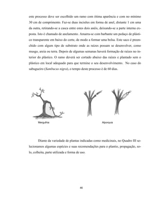 este processo deve ser escolhido um ramo com ótima aparência e com no mínimo
30 cm de comprimento. Faz-se duas incisões em forma de anel, distante 1 cm uma
da outra, retirando-se a casca entre estes dois anéis, deixando-se a parte interna ex-
posta. Isto é chamado de anelamento. Amarra-se com barbante um pedaço de plásti-
co transparente em baixo do corte, de modo a formar uma bolsa. Este saco é preen-
chido com algum tipo de substrato onde as raízes possam se desenvolver, como
musgo, areia ou terra. Depois de algumas semanas haverá formação de raízes no in-
terior do plástico. O ramo deverá ser cortado abaixo das raízes e plantado sem o
plástico em local adequado para que termine o seu desenvolvimento. No caso do
sabugueiro (Sambucus nigra), o tempo deste processo é de 60 dias.
Mergulhia Alporquia
Diante da variedade de plantas indicadas como medicinais, no Quadro III se-
lecionamos algumas espécies e suas recomendações para o plantio, propagação, so-
lo, colheita, parte utilizada e forma de uso.
46
 