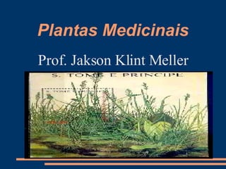 Plantas Medicinais ,[object Object]