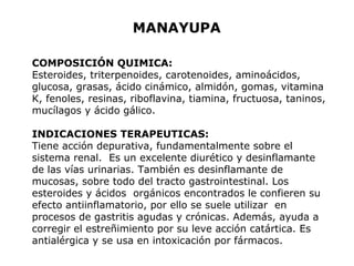 MANAYUPA 
COMPOSICIÓN QUIMICA: 
Esteroides, triterpenoides, carotenoides, aminoácidos, 
glucosa, grasas, ácido cinámico, almidón, gomas, vitamina 
K, fenoles, resinas, riboflavina, tiamina, fructuosa, taninos, 
mucílagos y ácido gálico. 
INDICACIONES TERAPEUTICAS: 
Tiene acción depurativa, fundamentalmente sobre el 
sistema renal. Es un excelente diurético y desinflamante 
de las vías urinarias. También es desinflamante de 
mucosas, sobre todo del tracto gastrointestinal. Los 
esteroides y ácidos orgánicos encontrados le confieren su 
efecto antiinflamatorio, por ello se suele utilizar en 
procesos de gastritis agudas y crónicas. Además, ayuda a 
corregir el estreñimiento por su leve acción catártica. Es 
antialérgica y se usa en intoxicación por fármacos. 
 