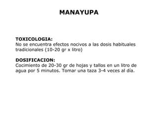MANAYUPA 
TOXICOLOGIA: 
No se encuentra efectos nocivos a las dosis habituales 
tradicionales (10-20 gr x litro) 
DOSIFICACION: 
Cocimiento de 20-30 gr de hojas y tallos en un litro de 
agua por 5 minutos. Tomar una taza 3-4 veces al día. 
 