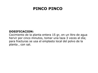 PINCO PINCO 
DOSIFICACION: 
Cocimiento de la planta entera 15 gr, en un litro de agua 
hervir por cinco minutos, tomar una taza 3 veces al día; 
para fracturas se usa el emplasto local del polvo de la 
planta , con sal. 
 