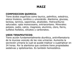 MAIZ 
COMPOSICION QUIMICA: 
Tiene ácidos organicos como laurico, palmítico, esteárico, 
oleico linoleico, cerótico y unoxiácido. Alantoina, glucosa, 
lactosa, taninos, saponinas, alcaloides. Hidrocarburos 
saturados: epta monocosano, entriacontano. Minerales: 
potasio, sodio, calcio, magnesio, aluminio, cloro, fierro, 
sulfatos fosfatos, silicatos y carbonatos. 
USOS TERAPEUTICOS: 
Tiene acción fundamentalmente diurética, antiinflamatoria 
de la mucosa vesicaly de las vias urinarias. Aumenta la 
secreción urinaria la cual se puede triplicar o cuadriplicar en 
24 horas. Por la alantoina que contiene tiene propiedades 
sedativas y epitelizantes. Es también hemostático. 
 