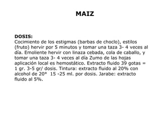 MAIZ 
DOSIS: 
Cocimiento de los estigmas (barbas de choclo), estilos 
(fruto) hervir por 5 minutos y tomar una taza 3- 4 veces al 
día. Emoliente hervir con linaza cebada, cola de caballo, y 
tomar una taza 3- 4 veces al día Zumo de las hojas 
aplicación local es hemostático. Extracto fluido 39 gotas = 
1 gr. 3-5 gr/ dosis. Tintura: extracto fluido al 20% con 
alcohol de 20° 15 -25 ml. por dosis. Jarabe: extracto 
fluido al 5%. 
 