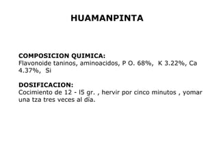 HUAMANPINTA 
COMPOSICION QUIMICA: 
Flavonoide taninos, aminoacidos, P O. 68%, K 3.22%, Ca 
4.37%, Si 
DOSIFICACION: 
Cocimiento de 12 - l5 gr. , hervir por cinco minutos , yomar 
una tza tres veces al día. 
 