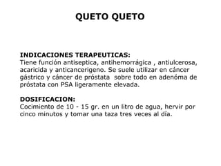 QUETO QUETO 
INDICACIONES TERAPEUTICAS: 
Tiene función antiseptica, antihemorrágica , antiulcerosa, 
acaricida y anticancerigeno. Se suele utilizar en cáncer 
gástrico y cáncer de próstata sobre todo en adenóma de 
próstata con PSA ligeramente elevada. 
DOSIFICACION: 
Cocimiento de 10 - 15 gr. en un litro de agua, hervir por 
cinco minutos y tomar una taza tres veces al día. 
 