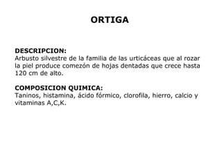 ORTIGA 
DESCRIPCION: 
Arbusto silvestre de la familia de las urticáceas que al rozar 
la piel produce comezón de hojas dentadas que crece hasta 
120 cm de alto. 
COMPOSICION QUIMICA: 
Taninos, histamina, ácido fórmico, clorofila, hierro, calcio y 
vitaminas A,C,K. 
 