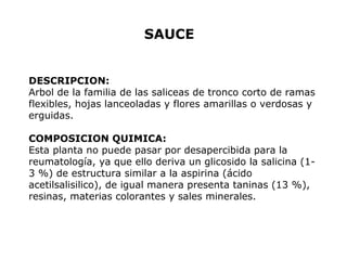 SAUCE 
DESCRIPCION: 
Arbol de la familia de las saliceas de tronco corto de ramas 
flexibles, hojas lanceoladas y flores amarillas o verdosas y 
erguidas. 
COMPOSICION QUIMICA: 
Esta planta no puede pasar por desapercibida para la 
reumatología, ya que ello deriva un glicosido la salicina (1- 
3 %) de estructura similar a la aspirina (ácido 
acetilsalisilico), de igual manera presenta taninas (13 %), 
resinas, materias colorantes y sales minerales. 
 