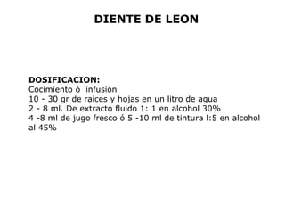 DIENTE DE LEON 
DOSIFICACION: 
Cocimiento ó infusión 
10 - 30 gr de raices y hojas en un litro de agua 
2 - 8 ml. De extracto fluido 1: 1 en alcohol 30% 
4 -8 ml de jugo fresco ó 5 -10 ml de tintura l:5 en alcohol 
al 45% 
 
