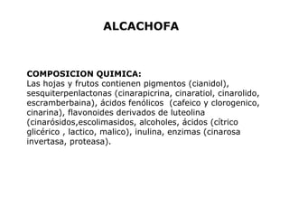 ALCACHOFA 
COMPOSICION QUIMICA: 
Las hojas y frutos contienen pigmentos (cianidol), 
sesquiterpenlactonas (cinarapicrina, cinaratiol, cinarolido, 
escramberbaina), ácidos fenólicos (cafeico y clorogenico, 
cinarina), flavonoides derivados de luteolina 
(cinarósidos,escolimasidos, alcoholes, ácidos (cítrico 
glicérico , lactico, malico), inulina, enzimas (cinarosa 
invertasa, proteasa). 
 