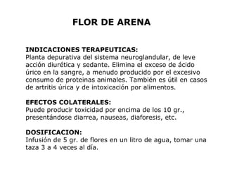 FLOR DE ARENA 
INDICACIONES TERAPEUTICAS: 
Planta depurativa del sistema neuroglandular, de leve 
acción diurética y sedante. Elimina el exceso de ácido 
úrico en la sangre, a menudo producido por el excesivo 
consumo de proteinas animales. También es útil en casos 
de artritis úrica y de intoxicación por alimentos. 
EFECTOS COLATERALES: 
Puede producir toxicidad por encima de los 10 gr., 
presentándose diarrea, nauseas, diaforesis, etc. 
DOSIFICACION: 
Infusión de 5 gr. de flores en un litro de agua, tomar una 
taza 3 a 4 veces al día. 
 