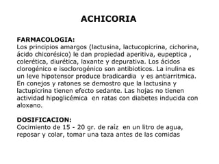 ACHICORIA 
FARMACOLOGIA: 
Los principios amargos (lactusina, lactucopicrina, cichorina, 
ácido chicorésico) le dan propiedad aperitiva, eupeptica , 
colerética, diurética, laxante y depurativa. Los ácidos 
clorogénico e isoclorogénico son antibioticos. La inulina es 
un leve hipotensor produce bradicardia y es antiarritmica. 
En conejos y ratones se demostro que la lactusina y 
lactupicrina tienen efecto sedante. Las hojas no tienen 
actividad hipoglicémica en ratas con diabetes inducida con 
aloxano. 
DOSIFICACION: 
Cocimiento de 15 - 20 gr. de raíz en un litro de agua, 
reposar y colar, tomar una taza antes de las comidas 
 