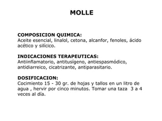 MOLLE 
COMPOSICION QUIMICA: 
Aceite esencial, linalol, cetona, alcanfor, fenoles, ácido 
acético y silícico. 
INDICACIONES TERAPEUTICAS: 
Antiinflamatorio, antitusígeno, antiespasmódico, 
antidiarreico, cicatrizante, antiparasitario. 
DOSIFICACION: 
Cocimiento 15 - 30 gr. de hojas y tallos en un litro de 
agua , hervir por cinco minutos. Tomar una taza 3 a 4 
veces al día. 
 