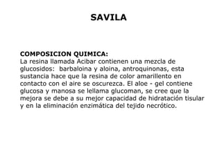 SAVILA 
COMPOSICION QUIMICA: 
La resina llamada Acibar contienen una mezcla de 
glucosidos: barbaloina y aloina, antroquinonas, esta 
sustancia hace que la resina de color amarillento en 
contacto con el aire se oscurezca. El aloe - gel contiene 
glucosa y manosa se lellama glucoman, se cree que la 
mejora se debe a su mejor capacidad de hidratación tisular 
y en la eliminación enzimática del tejido necrótico. 
 