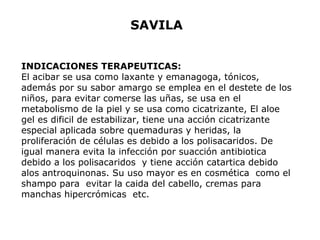SAVILA 
INDICACIONES TERAPEUTICAS: 
El acibar se usa como laxante y emanagoga, tónicos, 
además por su sabor amargo se emplea en el destete de los 
niños, para evitar comerse las uñas, se usa en el 
metabolismo de la piel y se usa como cicatrizante, El aloe 
gel es dificil de estabilizar, tiene una acción cicatrizante 
especial aplicada sobre quemaduras y heridas, la 
proliferación de células es debido a los polisacaridos. De 
igual manera evita la infección por suacción antibiotica 
debido a los polisacaridos y tiene acción catartica debido 
alos antroquinonas. Su uso mayor es en cosmética como el 
shampo para evitar la caida del cabello, cremas para 
manchas hipercrómicas etc. 
 