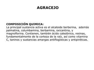 AGRACEJO 
COMPOSICIÓN QUIMICA: 
La principal sustancia activa es el alcaloide berberina, además 
palmatina, columbamina, berbamina, oxicantina, y 
magnoflorina. Contienen, también ácido caledónico, resinas, 
fundamentalmente de la corteza de la raíz, así como vitamina 
C, taninos y sustancias amargas antiflogísticas y antipiréticas. 
 