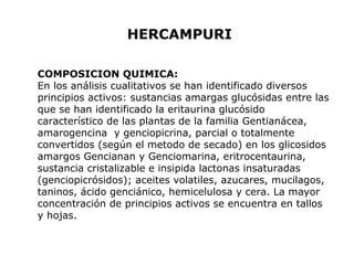 HERCAMPURI 
COMPOSICION QUIMICA: 
En los análisis cualitativos se han identificado diversos 
principios activos: sustancias amargas glucósidas entre las 
que se han identificado la eritaurina glucósido 
característico de las plantas de la familia Gentianácea, 
amarogencina y genciopicrina, parcial o totalmente 
convertidos (según el metodo de secado) en los glicosidos 
amargos Gencianan y Genciomarina, eritrocentaurina, 
sustancia cristalizable e insipida lactonas insaturadas 
(genciopicrósidos); aceites volatiles, azucares, mucilagos, 
taninos, ácido genciánico, hemicelulosa y cera. La mayor 
concentración de principios activos se encuentra en tallos 
y hojas. 
 