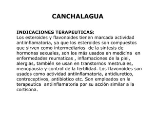 CANCHALAGUA 
INDICACIONES TERAPEUTICAS: 
Los esteroides y flavonoides tienen marcada actividad 
antiinflamatoria, ya que los esteroides son compuestos 
que sirven como intermediarios de la sintesis de 
hormonas sexuales, son los más usados en medicina en 
enfermedades reumaticas , inflamaciones de la piel, 
alergias, también se usan en transtornos mestruales, 
menopausia y control de la fertilidad. Los flavonoides son 
usados como actividad antiinflamatoria, antidiuretico, 
contreceptivos, antibiotico etc. Son empleados en la 
terapeutica antiinflamatoria por su acción similar a la 
cortisona. 
 