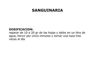 SANGUINARIA 
DOSIFICACION: 
reparar de 10 a 20 gr de las hojas y tallos en un litro de 
agua, hervir por cinco minutos y tomar una taza tres 
veces al día 
 