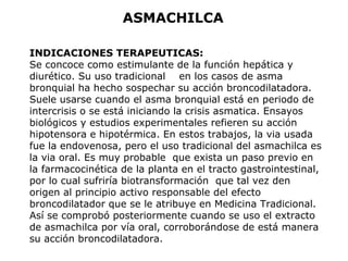 ASMACHILCA 
INDICACIONES TERAPEUTICAS: 
Se concoce como estimulante de la función hepática y 
diurético. Su uso tradicional en los casos de asma 
bronquial ha hecho sospechar su acción broncodilatadora. 
Suele usarse cuando el asma bronquial está en periodo de 
intercrisis o se está iniciando la crisis asmatica. Ensayos 
biológicos y estudios experimentales refieren su acción 
hipotensora e hipotérmica. En estos trabajos, la via usada 
fue la endovenosa, pero el uso tradicional del asmachilca es 
la via oral. Es muy probable que exista un paso previo en 
la farmacocinética de la planta en el tracto gastrointestinal, 
por lo cual sufriría biotransformación que tal vez den 
origen al principio activo responsable del efecto 
broncodilatador que se le atribuye en Medicina Tradicional. 
Así se comprobó posteriormente cuando se uso el extracto 
de asmachilca por vía oral, corroborándose de está manera 
su acción broncodilatadora. 
 