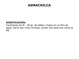 ASMACHILCA 
DOSIFICACION: 
Cocimiento de l5 - 20 gr. de tallos y hojas en un litro de 
agua, hervir por cinco minutos, tomar una taza tres veces al 
día 
 