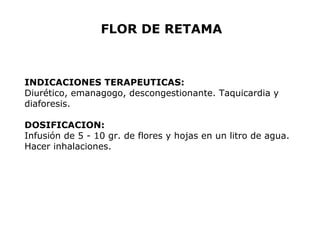 FLOR DE RETAMA 
INDICACIONES TERAPEUTICAS: 
Diurético, emanagogo, descongestionante. Taquicardia y 
diaforesis. 
DOSIFICACION: 
Infusión de 5 - 10 gr. de flores y hojas en un litro de agua. 
Hacer inhalaciones. 
 
