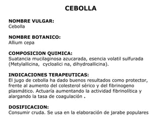 CEBOLLA 
NOMBRE VULGAR: 
Cebolla 
NOMBRE BOTANICO: 
Allium cepa 
COMPOSICION QUIMICA: 
Suatancia mucilaginosa azucarada, esencia volatil sulfurada 
(Metylallicina, cycloalici na, dihydroallicina). 
INDICACIONES TERAPEUTICAS: 
El jugo de cebolla ha dado buenos resultados como protector, 
frente al aumento del colesterol sérico y del fibrinogeno 
plasmático. Actuaría aumentando la actividad fibrinolítica y 
alargando la tasa de coagulación . 
DOSIFICACION: 
Consumir cruda. Se usa en la elaboración de jarabe populares 
 