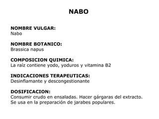 NABO 
NOMBRE VULGAR: 
Nabo 
NOMBRE BOTANICO: 
Brassica napus 
COMPOSICION QUIMICA: 
La raíz contiene yodo, yoduros y vitamina B2 
INDICACIONES TERAPEUTICAS: 
Desinflamante y descongestionante 
DOSIFICACION: 
Consumir crudo en ensaladas. Hacer gárgaras del extracto. 
Se usa en la preparación de jarabes populares. 
 