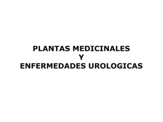 PLANTAS MEDICINALES 
Y 
ENFERMEDADES UROLOGICAS 
 