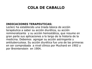 COLA DE CABALLO 
INDICACIONES TERAPEUTICAS: 
Leclerc ha establecido una triada básica de acción 
terapéutica a saber su acción diurética, su acción 
remineralizante y su acción hemostática, que resume en 
gran parte sus aplicaciones a lo largo de la historia de la 
medicina. Debemos agregar su acción astringente y 
antituberculosa. Su acción diurética fue una de las primeras 
en ser comprobada a nivel clínico por Muchard en 1902 y 
por Breintenstein en 1904. 
 