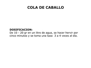 COLA DE CABALLO 
DOSIFICACION: 
De 10 - 20 gr en un litro de agua, se hacer hervir por 
cinco minutos y se toma una taza 3 a 4 veces al día. 
 