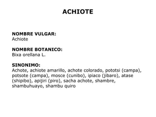 ACHIOTE 
NOMBRE VULGAR: 
Achiote 
NOMBRE BOTANICO: 
Bixa orellana L. 
SINONIMO: 
Achote, achiote amarillo, achote colorado, pototsi (campa), 
potsote (campa), mosce (cunibo), ipiaco (jibaro), atase 
(shipibo), apijiri (piro), sacha achote, shambre, 
shambuhuayo, shambu quiro 
 