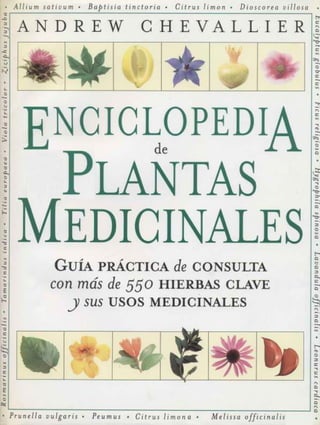 MANUAL Plantas medicinales