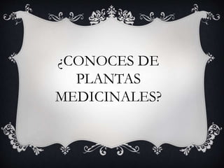 ¿CONOCES DE
PLANTAS
MEDICINALES?
 