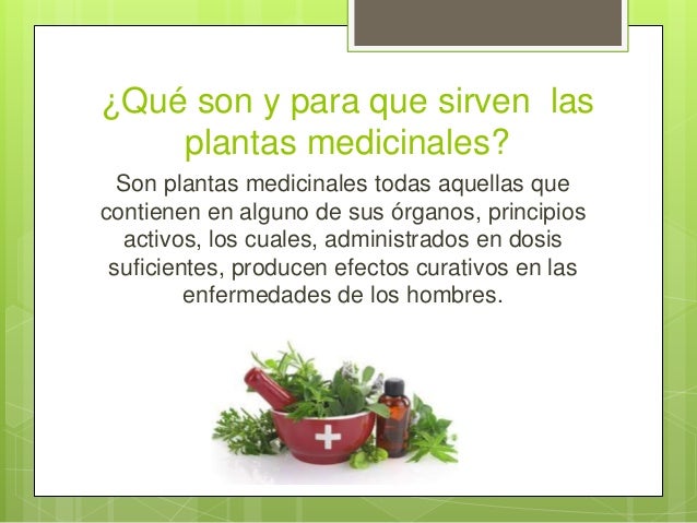 Plantas Medicinales En Mexico Presentacion Final