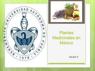 equipo 5
Plantas
Medicinales en
México
 
