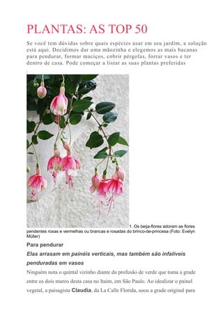 PLANTAS: AS TOP 50
Se você tem dúvidas sobre quais espécies usar em seu jardim, a solução
está aqui. Decidimos dar uma mãozinha e elegemos as mais bacanas
para pendurar, formar maciços, cobrir pérgolas, forrar vasos e ter
dentro de casa. Pode começar a listar as suas plantas preferidas
|
1. Os beija-flores adoram as flores
pendentes roxas e vermelhas ou brancas e rosadas do brinco-de-princesa (Foto: Evelyn
Müller)
Para pendurar
Elas arrasam em painéis verticais, mas também são infalíveis
penduradas em vasos
Ninguém nota o quintal vizinho diante da profusão de verde que toma a grade
entre os dois muros desta casa no Itaim, em São Paulo. Ao idealizar o painel
vegetal, a paisagista Claudia, da La Calle Florida, usou a grade original para
 
